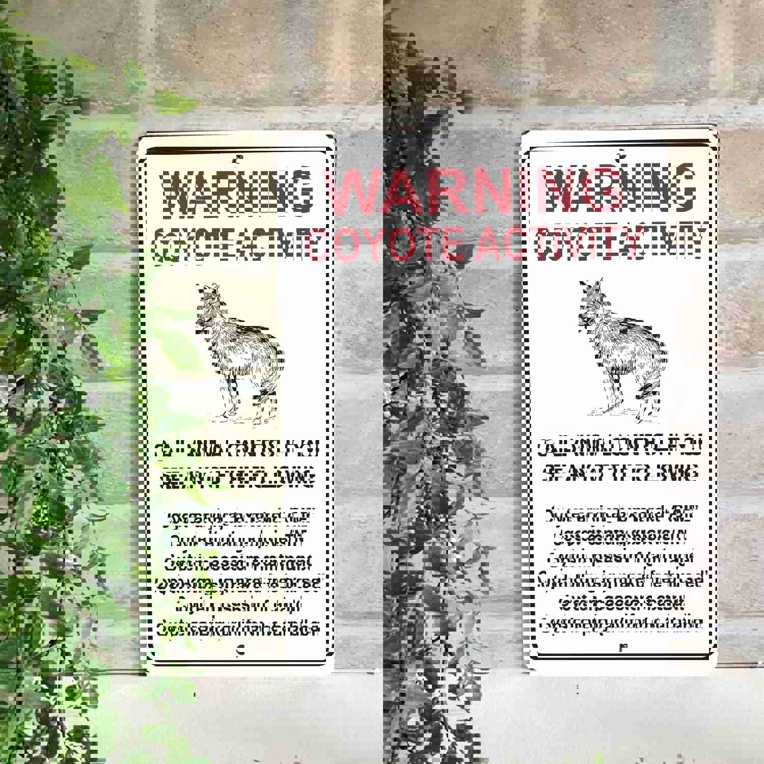 Coyote Activity Vintage Metal Sign - 8x12 Inch Humorous Wall Decor